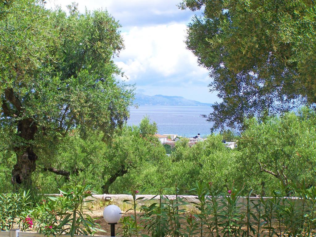 Pouliezos Koklanis Zante Apartments Alykes  Exterior photo